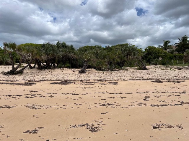Terreno para Venda em Inhambane - 4