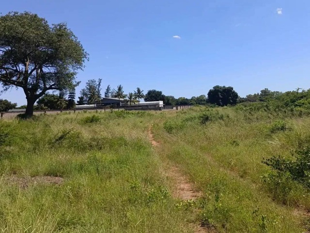 #4755 - Depósito para Venda em Maputo - Maputo