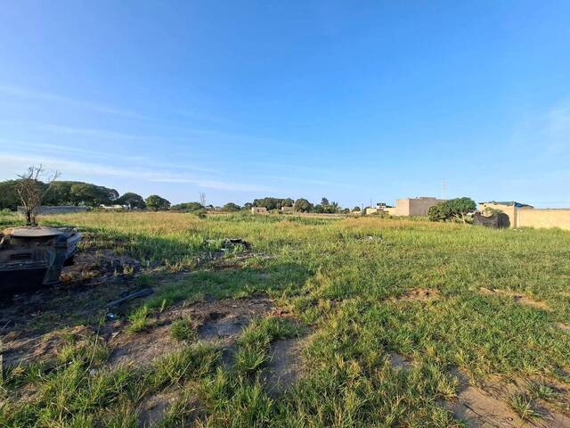Terreno para Venda em Maputo - 4
