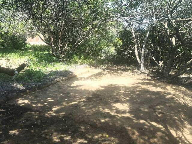 Área para Venda em Maputo - 4