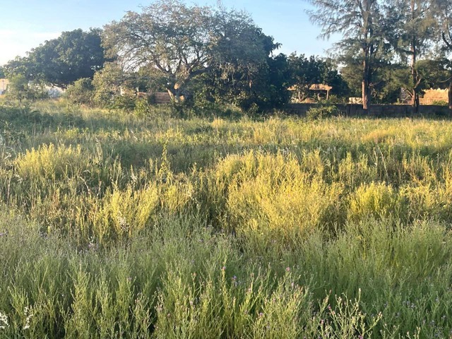 #4940 - Terreno para Venda em Maputo - Maputo