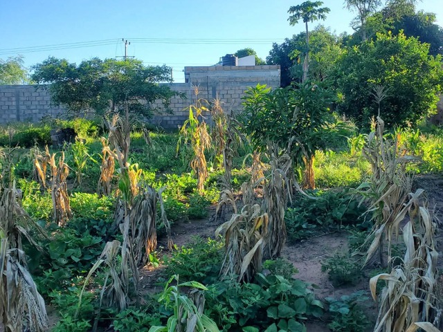 Terreno para Venda em Maputo - 5