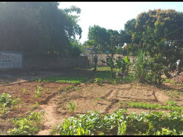 #5154 - Terreno para Venda em Maputo - Maputo