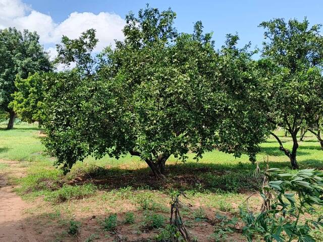 Terreno para Venda em Maputo - 4