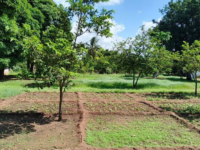 Terreno para Venda em Maputo - 5