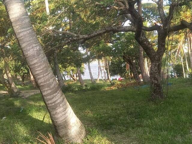 Terreno para Venda em Bilene - 5