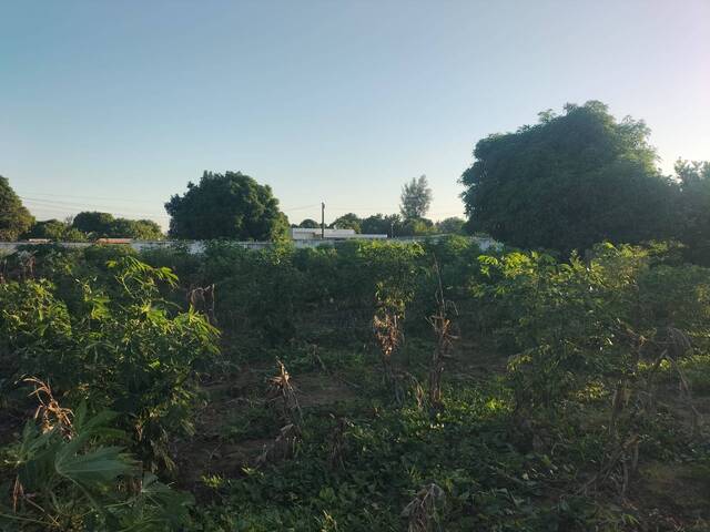 #5232 - Terreno para Venda em Maputo - Maputo