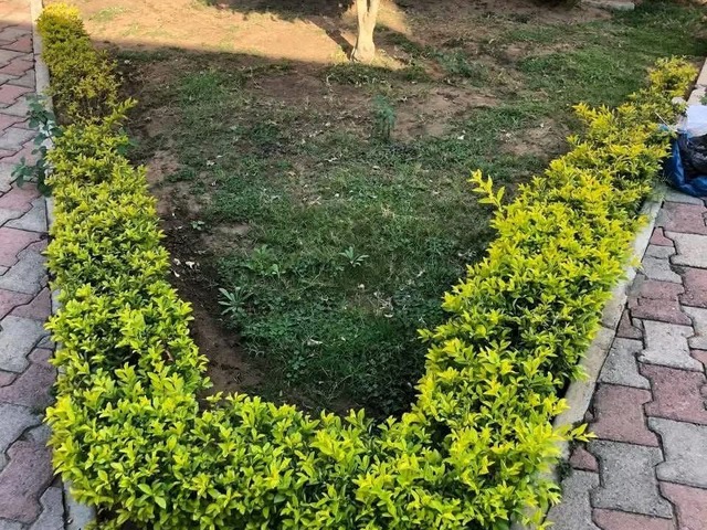 Casa para Arrendamento em Maputo - 3
