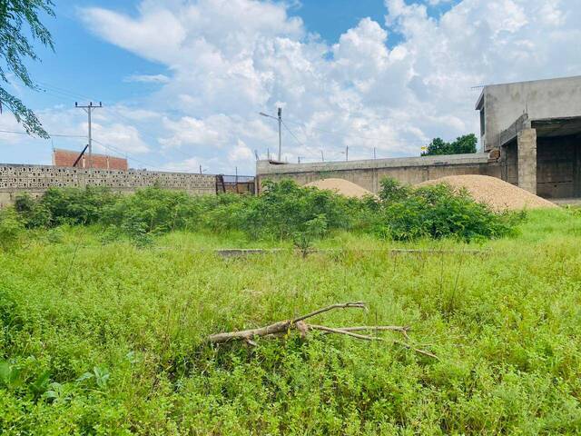 #5249 - Terreno para Venda em Maputo - Maputo