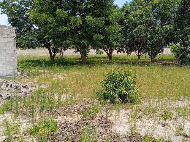 Terreno para Venda em Maputo - 3
