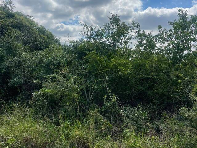 #5360 - Terreno para Venda em Maputo - Maputo