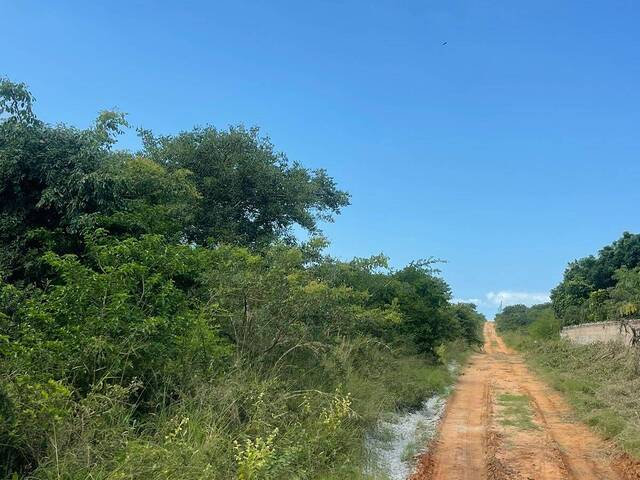 Terreno para Venda em Maputo - 5