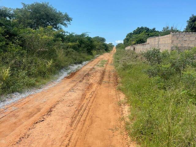 #5360 - Terreno para Venda em Maputo - Maputo