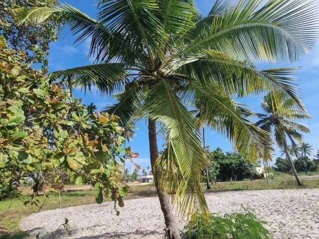#5456 - Terreno para Venda em Inhambane - Inhambane