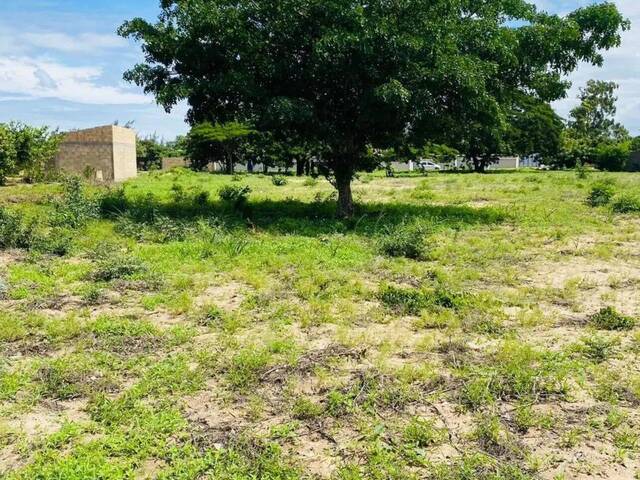 #5527 - Terreno para Venda em Maputo - Maputo