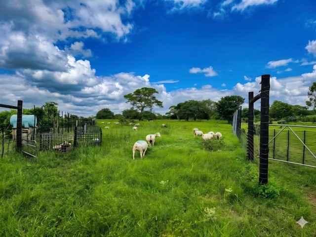 Terreno para Venda em Maputo - 4