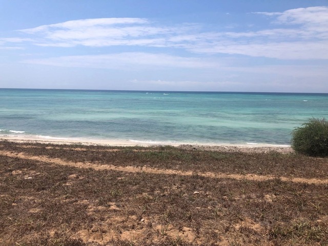 Área para Venda em Pemba - 5