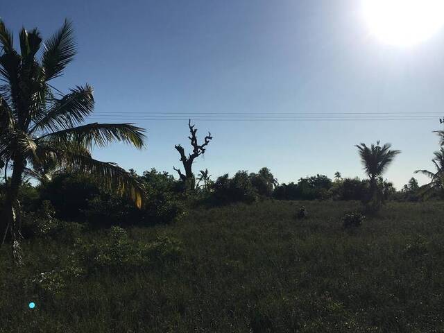 Terreno para Venda em Inhambane - 5
