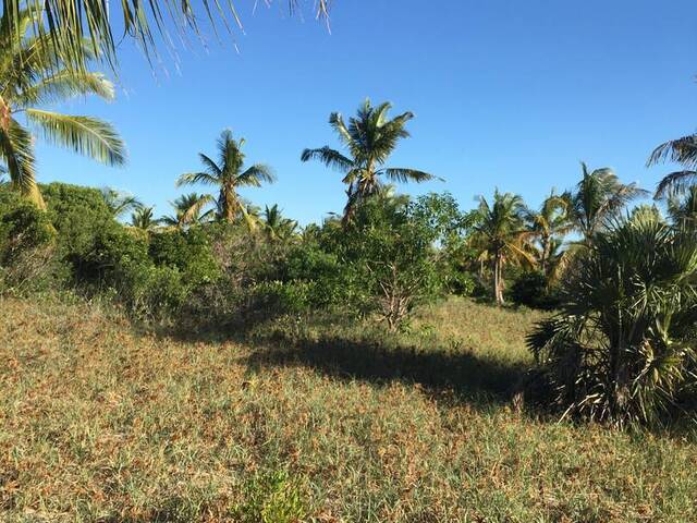 #5682 - Terreno para Venda em Inhambane - Inhambane