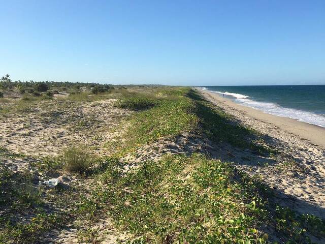 #5682 - Terreno para Venda em Inhambane - Inhambane