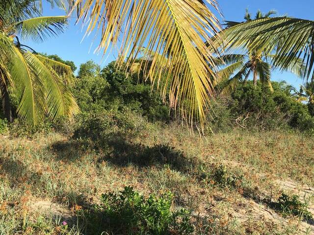 Terreno para Venda em Inhambane - 4