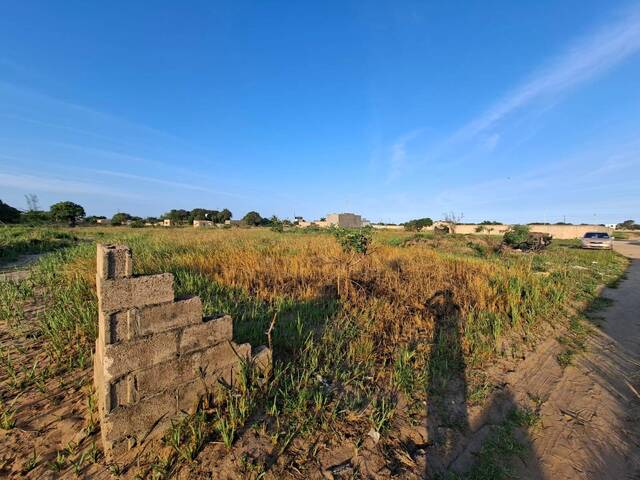 #5696 - Terreno para Venda em Maputo - Maputo