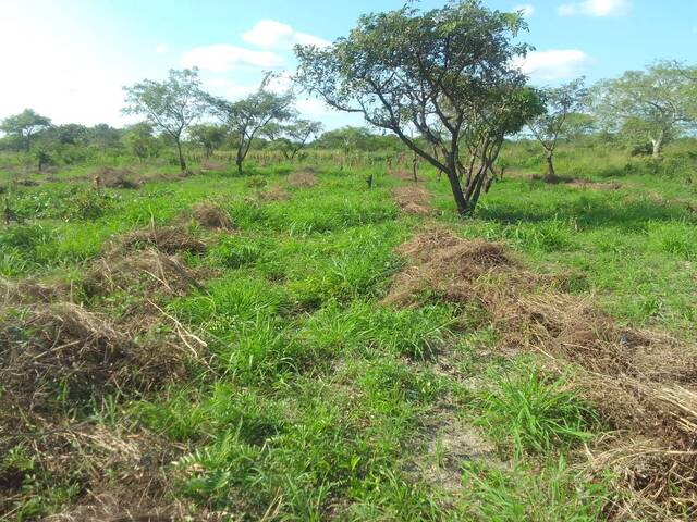 Terreno para Venda em Maputo - 2