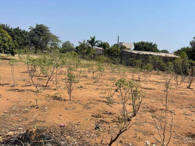 Terreno para Venda em Maputo - 4