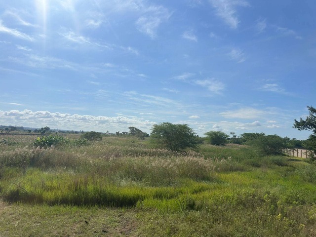 #6182 - Terreno para Venda em Maputo - Maputo