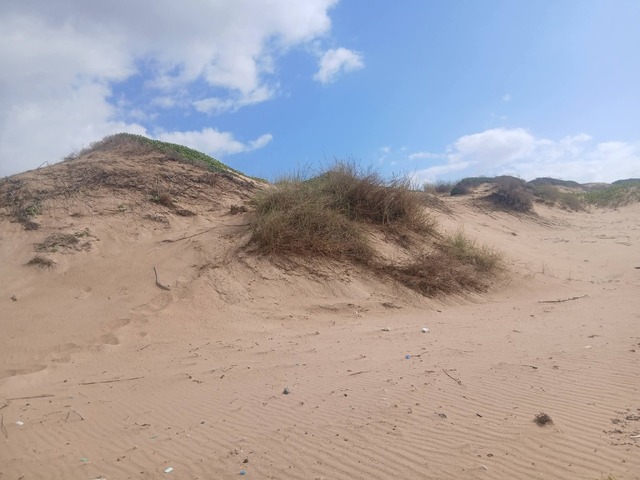 #6254 - Terreno para Venda em Inhambane - Inhambane