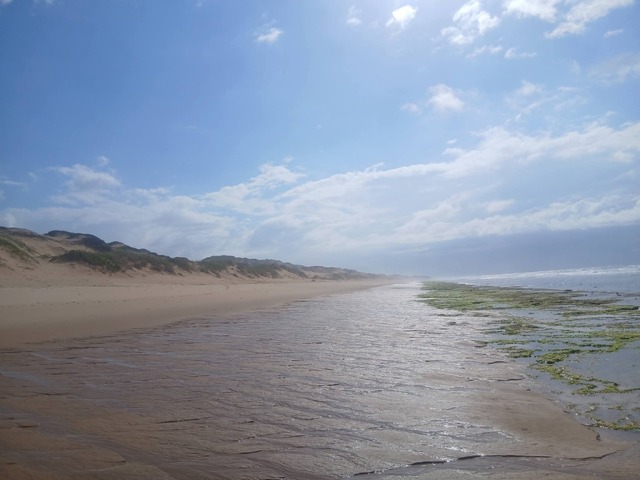 Venda em PRAIA DA ROCHA - Inhambane