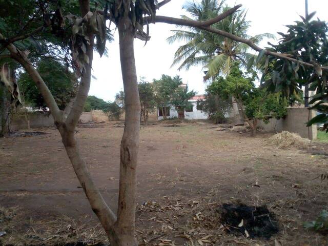#6264 - Terreno para Venda em Maputo - Maputo