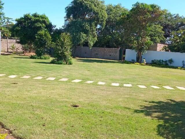 Estabelecimento para Arrendamento em Maputo - 4
