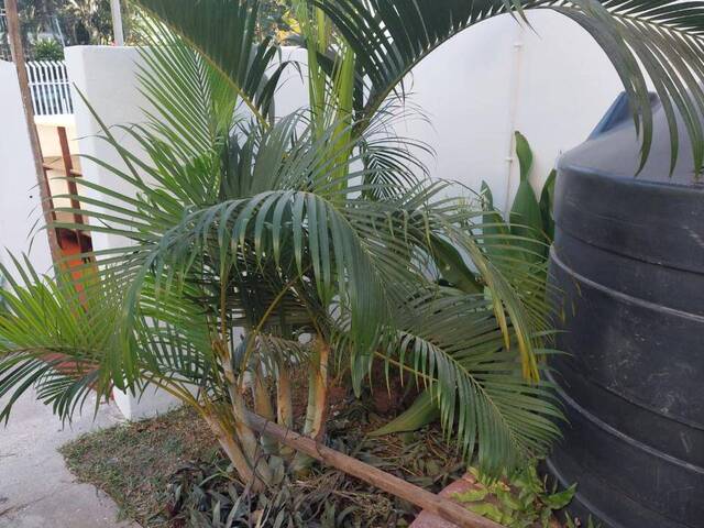 Casa para Venda em Maputo - 5