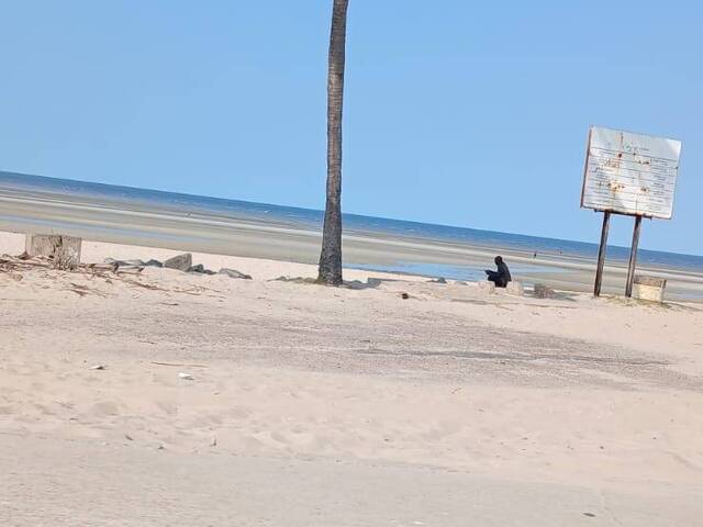 Terreno para Venda em Maputo - 5