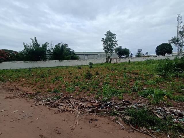 Venda em LAULANE - Maputo