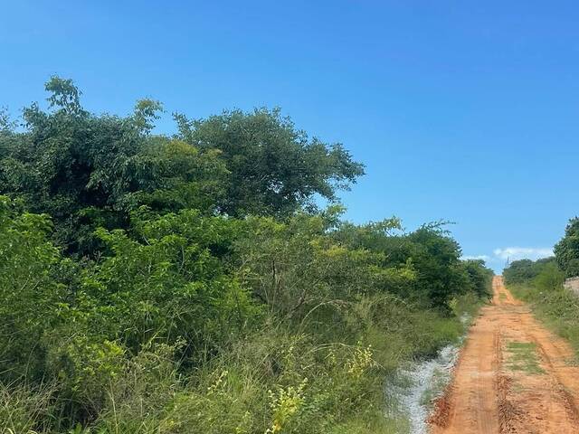 #7358 - Área para Venda em Maputo - Maputo