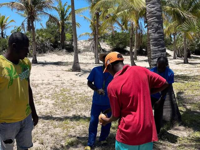 Chácara para Venda em Inhambane - 4