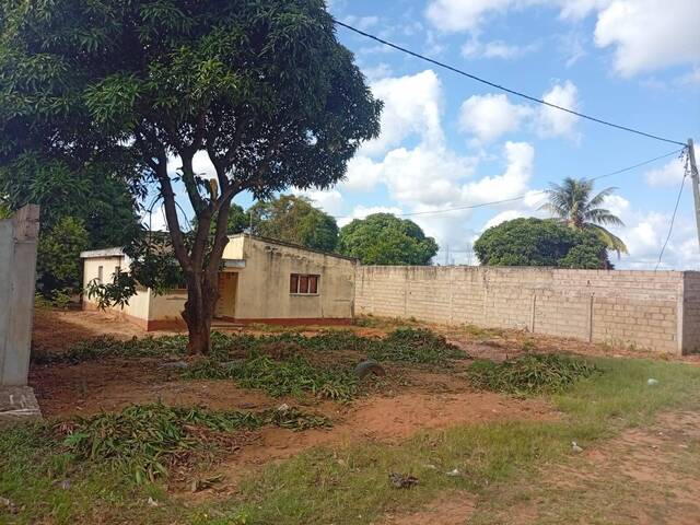 Venda em MUSSUMBULUCO - Maputo