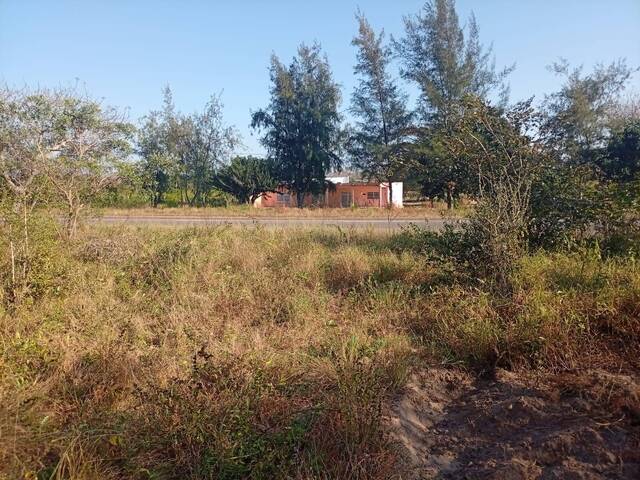 Terreno para Venda em Maputo - 3