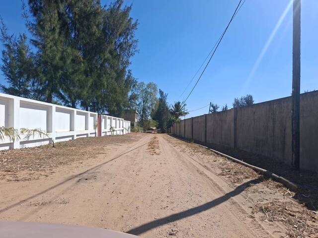 Venda em kumbeza - Maputo